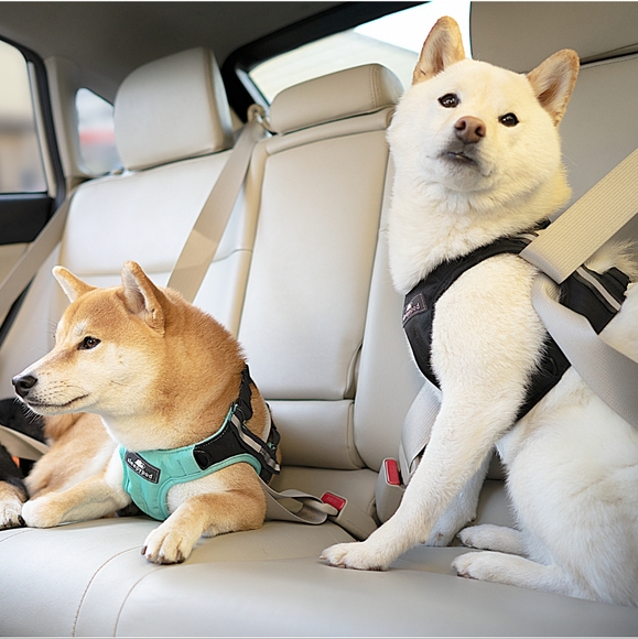 Sleepypod Harness Size Small Crash Tested - Picture 1 of 10